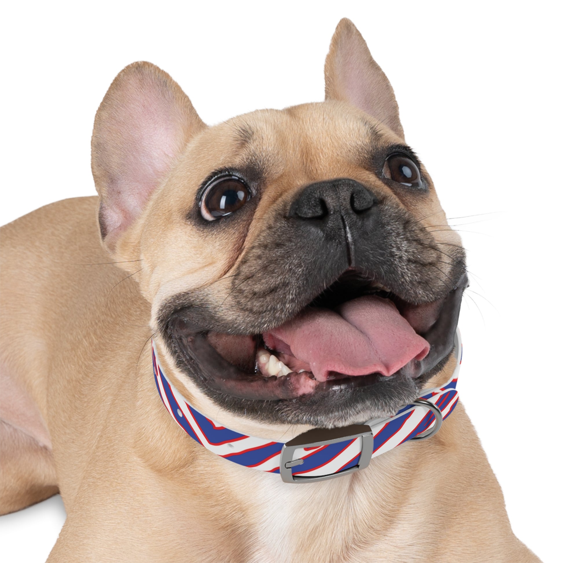Buffalo Football Pattern Dog Collar - Bflo Thread Co.