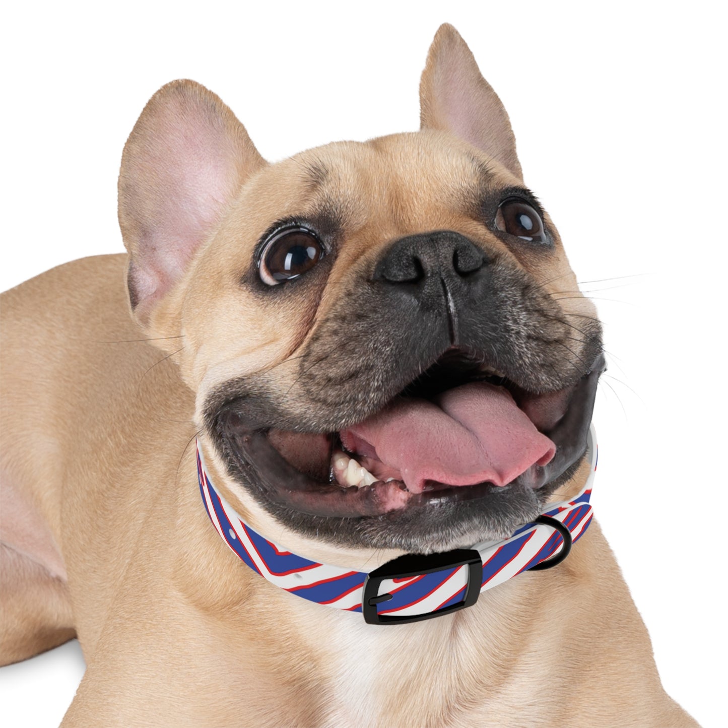 Buffalo Football Pattern Dog Collar - Bflo Thread Co.