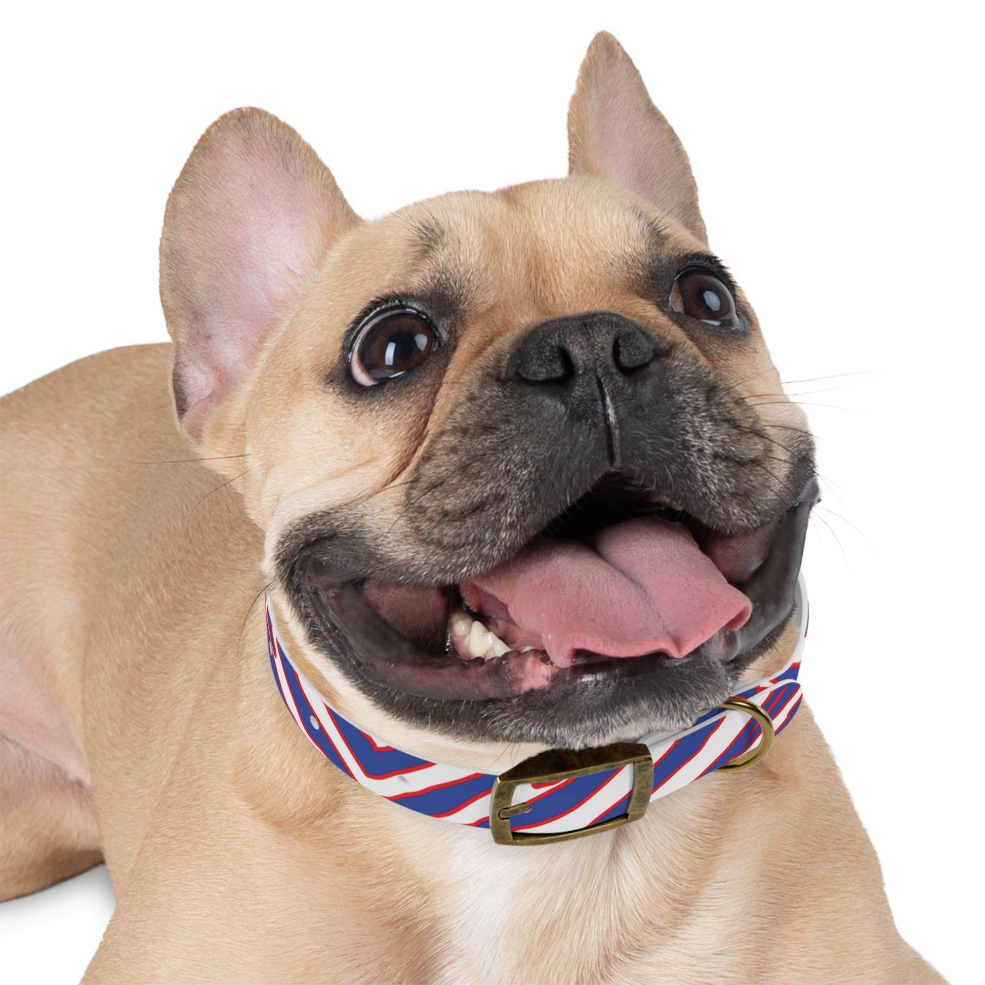 Buffalo Football Pattern Dog Collar - Bflo Thread Co.