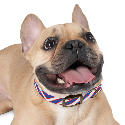 Buffalo Football Pattern Dog Collar - Bflo Thread Co.